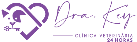 Dra Key Logo